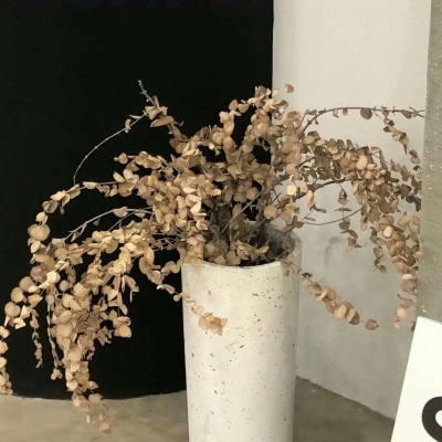 兽设潮流风格设计兽圈群